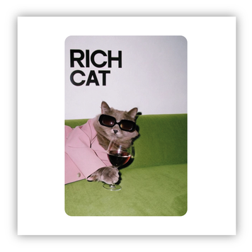 Стікер об'ємний "RICH CAT/ЗАМОЖНИЙ КІТ" ST00295 фото